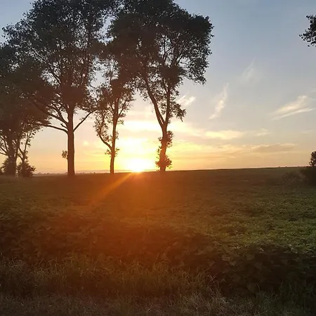 Fehmarn-ostseeferienstrandresidenz Vogelflugapp 11 *